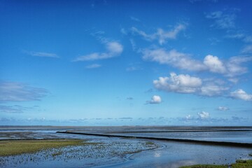 Nordsee Wattenmeer Sommer Salzwiesen blauer himmel
