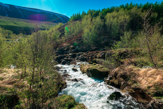 Stream rolls down a hill, systagil, &THORN;ingeyjarsveit, North Eastern Region, Iceland