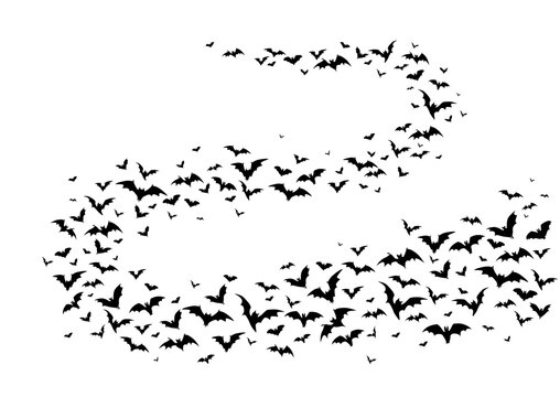 Flying halloween bats, isolated vector vampire animals flock curve wave fly on white background. Winged swarm of creepy bats black silhouettes, spooky fauna creatures group flow graphic design element