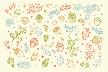 Forest autumn collection. Ornamental Acorns and oak leaves vector set. Hand drawn doodle acorn, leaf, oak - vector illustration