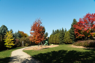 Children's playground among colorful autumn trees