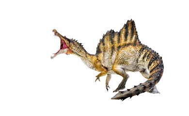 dinosaur , spinosaurus isolated background