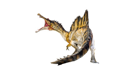dinosaur , spinosaurus isolated background