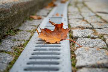 Fallen yellow leaves on the sidewalk in the park