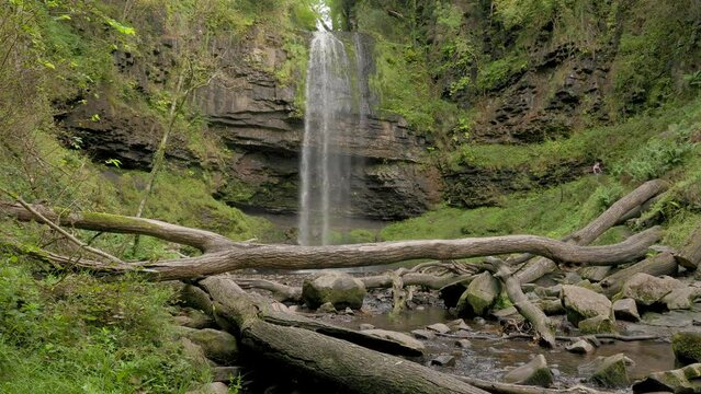 Tall waterfall and fallen trees in a forest.  Henrhyd Falls - the tallest in the Brecon Beacons