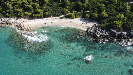 A small sandy beach in a beautiful bay surrounded by coniferous forest