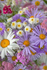 Summer bouquet of garden flowers with chamomile and Aster alpinus as background texture closeup