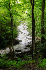 Obraz premium Rushing River