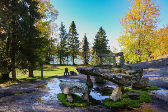 Rock Garden