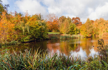 Beautiful colorful autumn lake surrounded by autumn follage. Autumn background.
