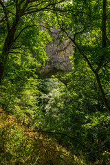 Prerasts of Vratna or Vratna Gates are three natural stone bridges on the Miroc mountain in Serbia