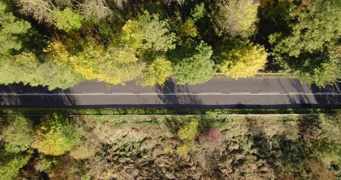 Aerial Top View Of Autumn Green And Orange Trees In Forest Background. Car Driving Along The Forest Road. Country Road - From Above View.
