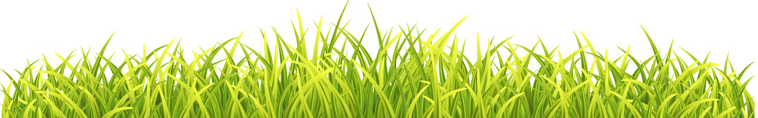 Fototapeta premium Gren Fresh Grass Border. Photo Realistic Blades illustration. Front View