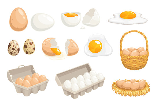 Cartoon eggs in basket, tray, nest and box, chicken and quail eggs, vector. Eggs in hen nest and wicker basket or in carton box, boiled and fried omelette, poultry farm food products
