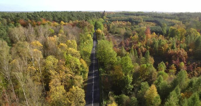 Aerial view of autumn green and orange trees in forest background. Car driving along the forest road. From above view of country road.
