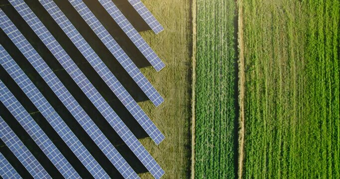 Top view of a new solar farm. Rows of modern photovoltaic solar panels next to the green field. Renewable ecological source of energy from the sun. Aerial view.
