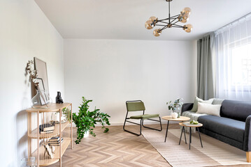 Cozy living room in apartment with modern furniture, comfy sofa and armchair and wooden floor. Interior of room in stylish design.