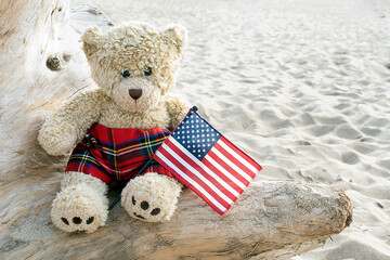 Teddy bear on a beach driftwood log with an American flag