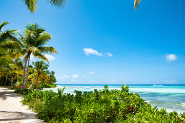 Regard sur Punta Cana