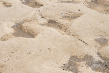 sand beige texture  in a sunny day - texture