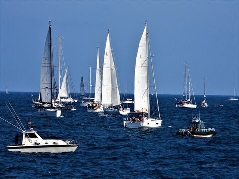 Regata
