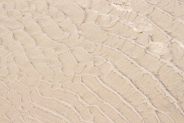 sand beige texture  in a sunny day - texture