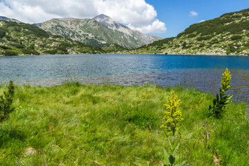Fototapeta premium Pirin Mountain near Fish Banderitsa lake, Bulgaria