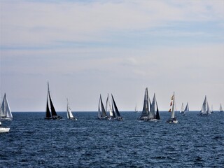 Fototapeta premium Regata
