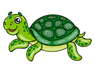 Cartoon turtle. Vector illustration of a cute tortoise isolated on white background.