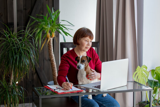 Senior Woman With A Dog Working With Laptop Computer At Home