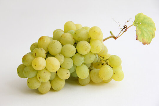 bunch of grapes.a bunch of green grapes on a white background