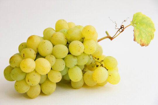 bunch of grapes on white.a bunch of green grapes on a white background