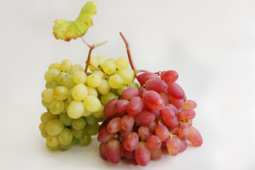 red and green grapes.  a bunch of red grapes and a bunch of green grapes on a white background
