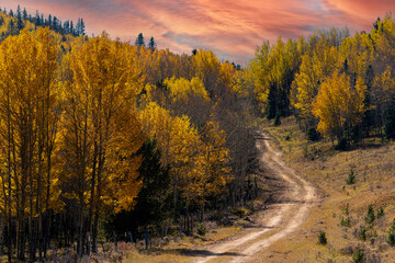 Pikes Peak Autumn