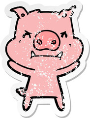 distressed sticker of a angry cartoon pig