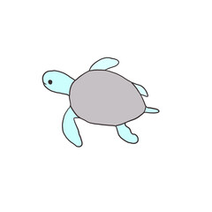 turtle
