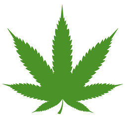marijuana leaf on a transparent background