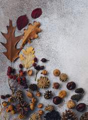 Haloween or thanksgiving composition with decorative pumpkin, autumn leaves and grapes