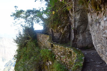 Machu Picchu Path 