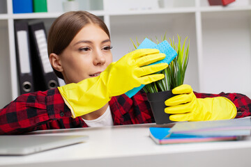 Woman wipes dusty green indoor houseplant leaves.