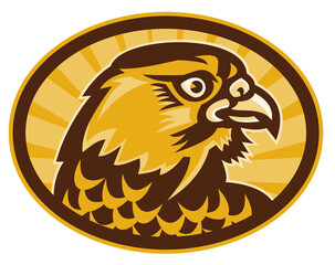 illustration of a Hawk or falcon looking to side done in retro style.