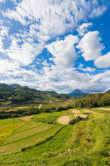 Fototapeta premium 棚田と青空（大分県由布市）
