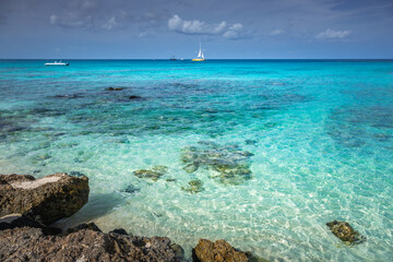 Fototapeta na wymiar Aruba idyllic caribbean beach at sunny day, Dutch Antilles, Caribbean Sea