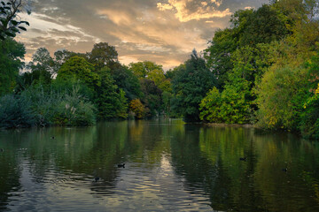 Fototapeta premium nature with tress at the lake