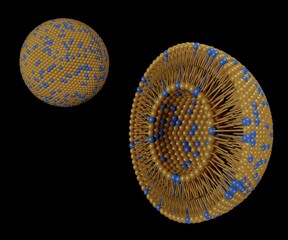 Transferosomes structure are vesicular carrier systems that enclosed by a lipid bilayer, together with an edge activator 3d rendering