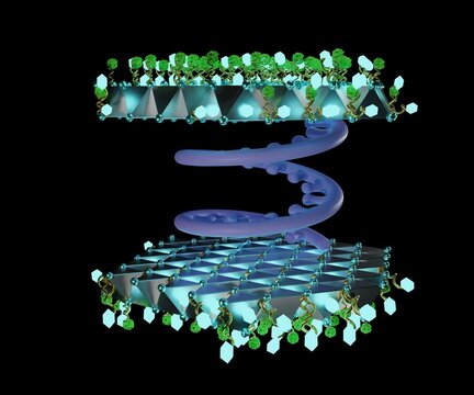 Transferosomes Structure Are Vesicular Carrier Systems That Enclosed By A Lipid Bilayer With DNA Strands Conjugated Molecules 3d Rendering