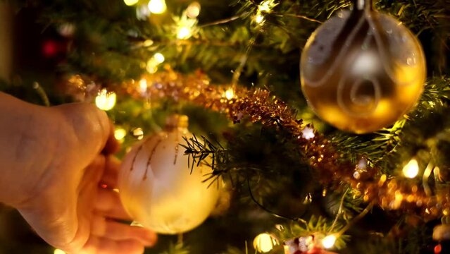 Decoration of the Christmas tree. hands decorate the Christmas tree with shiny balls.Hands hangs a ball on a spruce branch with luminous garlands.Festive Christmas tradition. Festive atmosphere. 