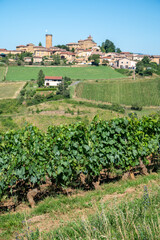 Fototapeta na wymiar Landscape with vineyards near beaujolais wine making village Val d'Oingt, gateway to Beaujolais Wine Route and hilly landscapes of the Pierres Dorées, France
