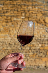 Tasting of red wine by old wine maker in Pierres Dorées region with yellow stone houses on south of Beaujolais region, France