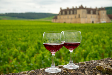 Tasting of red dry pinot noir wine in glass on premier and grand cru vineyards in Burgundy wine making region with chateau on background, France